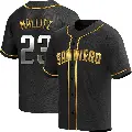 Men's No.23 Josh Mallitz San Diego Padres Gold Replica Black en Alternate Jersey