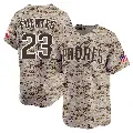 Men's No.23 Tito Fuentes San Diego Padres Camo Limited 2nd Alternate Jersey
