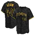 Men's No.40 Jason Adam San Diego Padres Black Replica Snake Skin City Jersey